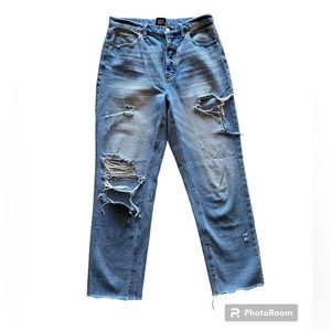 BDG Distressed High Rise Button Fly Raw Hem Jeans Size 29